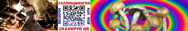 купить   ОМГ ОМГ ТОР  Галлюциногенные грибы MAGIC MUSHROOMS  Динская 